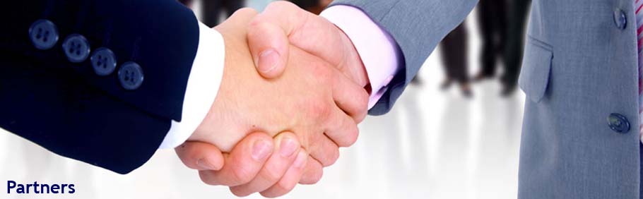 GigaNet Systems - Partners